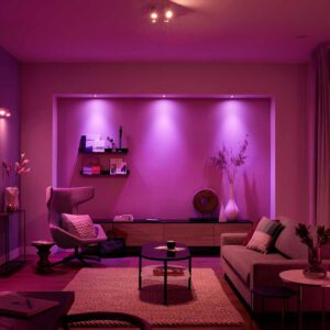 Philips Hue Alexa 300x300