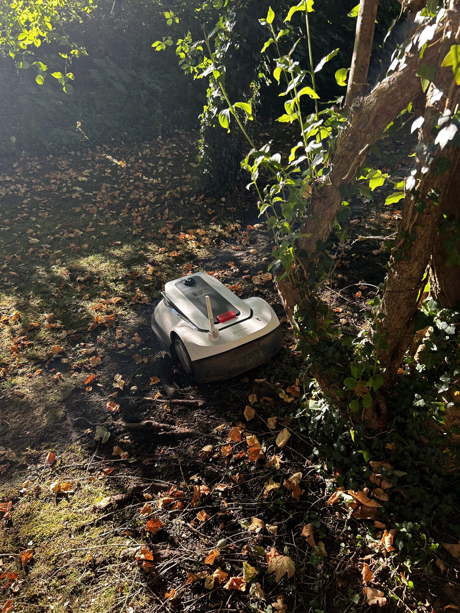 ecovacs goat g1 steckt fest