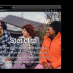 WordPress-Theme zeigt Bilder als Vollbild-Slideshow im Browser